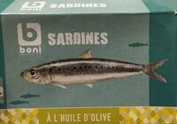 Sardines