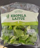 Kropsla gewassen