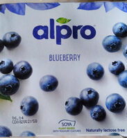 Blueberry