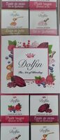 Dolfin