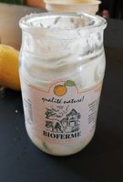 Yaourt aux abricots/abricozen