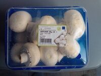Champignons Cat 1 500 gr.