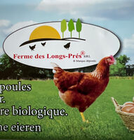 Dozen Free Range Bio Eggs