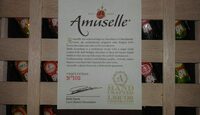 Carré Amuselle Caisse En Bois 10X240G