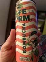 Kombucha ferm