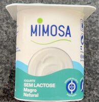 Iogurte natural batido magro