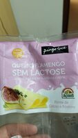 Queijo flamengo sem lactose