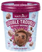 Double Trouble Fudgy Brownie