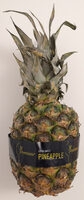 Extra Sweet Pineapple