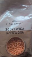 Soczewica