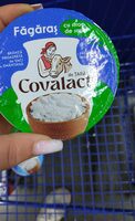 Făgăraș Cu Un Strop De Sare