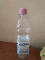 Wonder Spring (Natural Mineral Water)