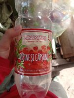 Biborțeni vișine și căpșuni