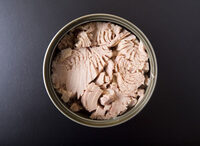 Canned Tuna In Brine