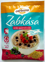 Erdei gyümölcsös zabkása