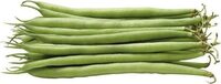 Haricot vert fin