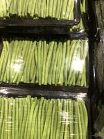 Haricots verts très fins