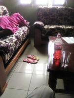 Top grenadine