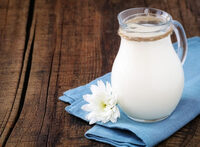 Plain Yogurt, Fat Free