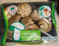 Shiitake Mushroom