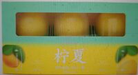 Lemon Flavored Ice Cream
