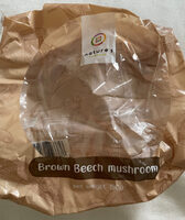Brown Beech mushroom