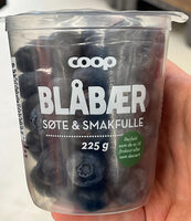 Blåbær