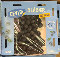 Blåbær