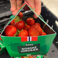 Norske Jordbær