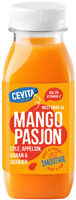 Mango Goji Smoothie