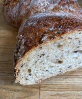 Alpebrød