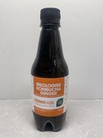 Økologisk Kombucha Ginger