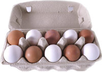 Gårdsegg frå Fana