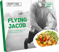 Flying Jacob