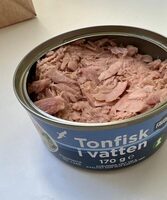 Tonfisk i vatten