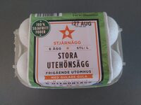 Stora utehönsägg, frigående utomhus