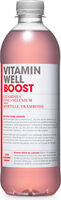 Vitamin Well Boost