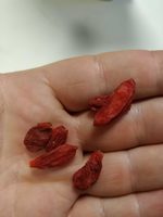 Organic Goji Berries 1kilogram (250gram X 4), Certified By Soil Association, From Tibetan Plateau