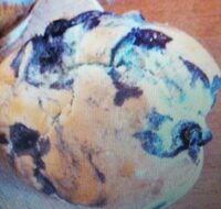 Muffin aux myrtilles