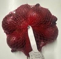 Zwiebel rot