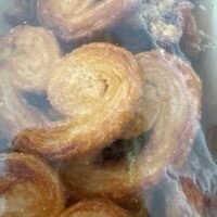 Palmiers Prussiens