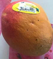 Mangue