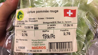 Laitue pommée rouge