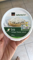Cottage Cheese nature