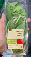 Basilic