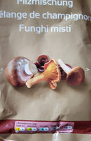 Mélange de champignons