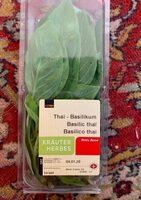 Basilic thaï