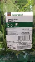 Basilic