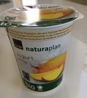Jogurt Mangue bio