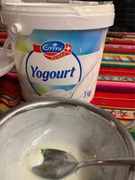 Yogourt